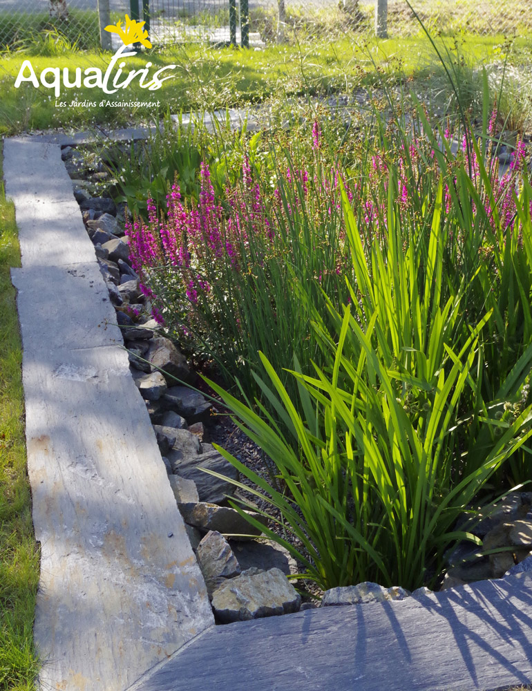 Jardin d'assainissement Aquatiris, assainissement autonome