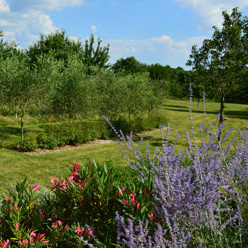 Conception de jardin naturel