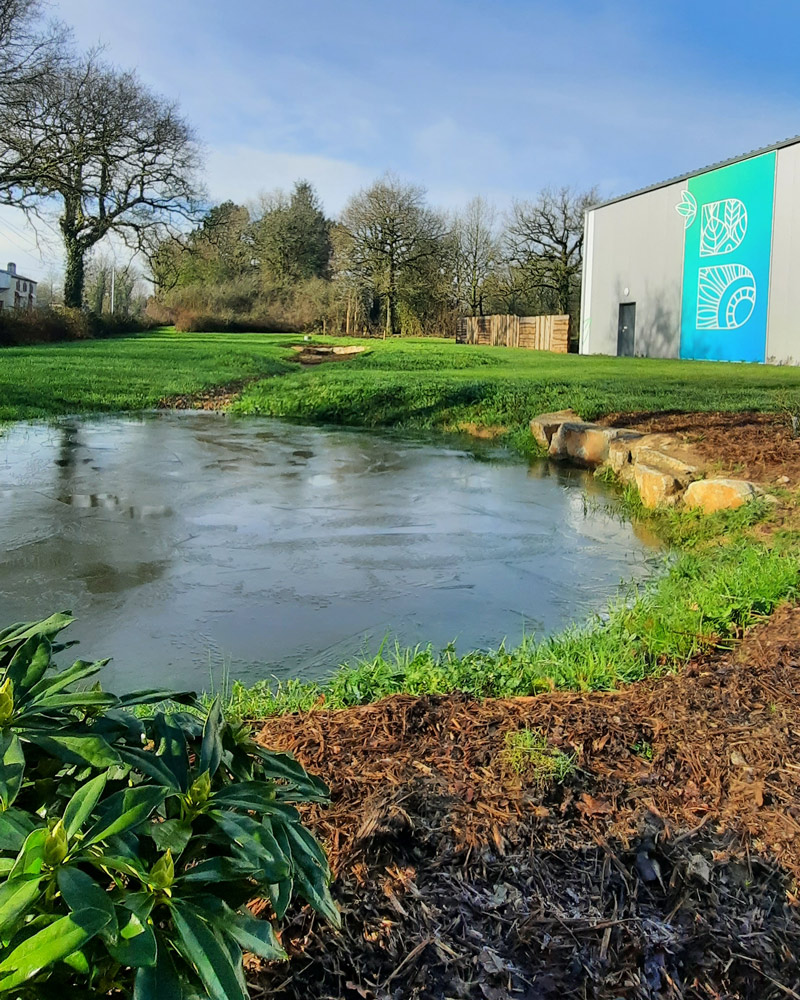 Récuperation de l'eau au jardin