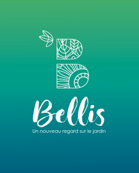 Logo Bellis dégradé